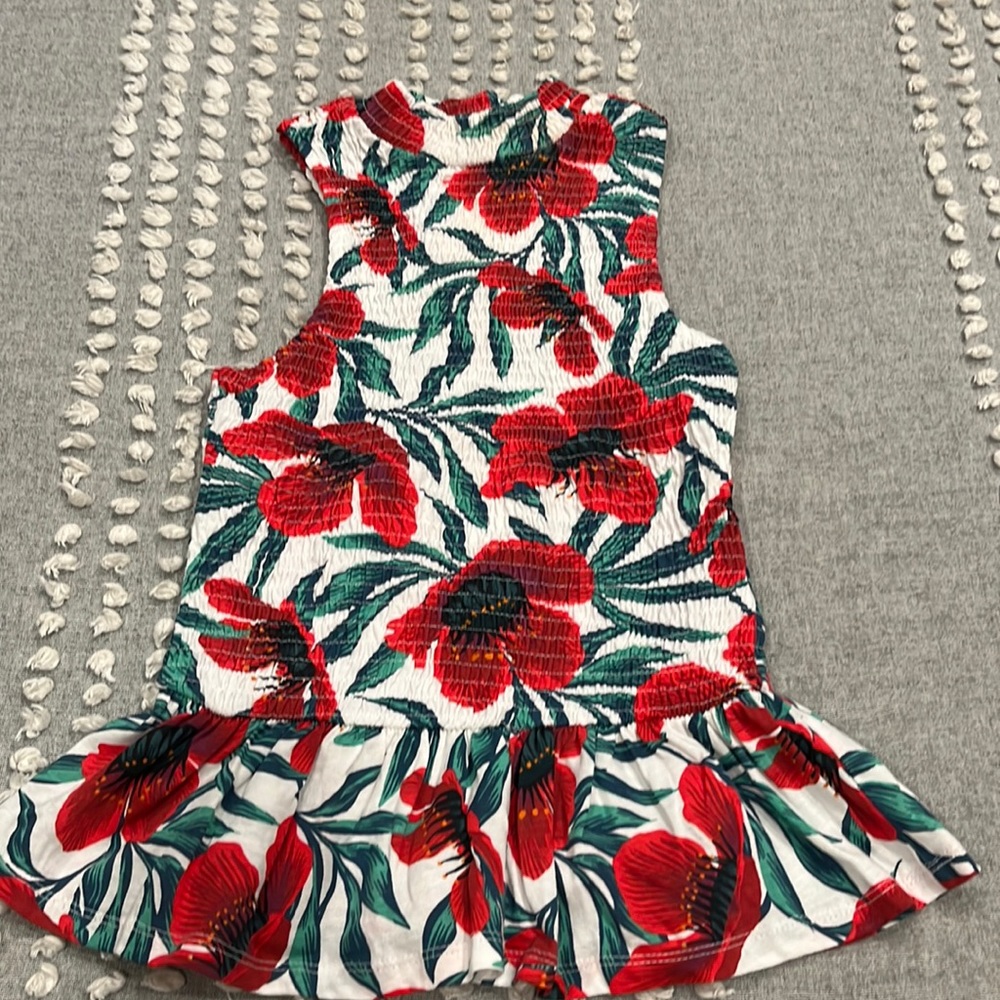 Zara floral top cinched body with ruffle bottom